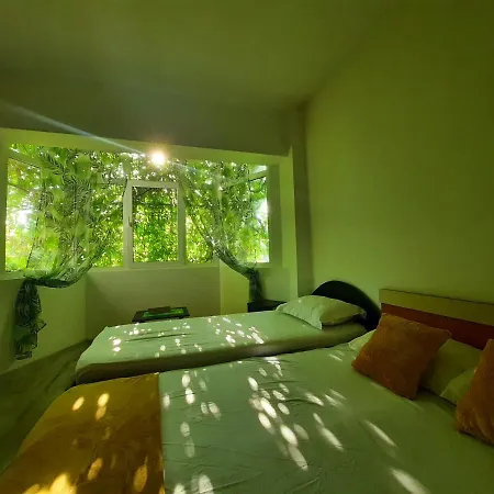 Homestay Casa Dolce *